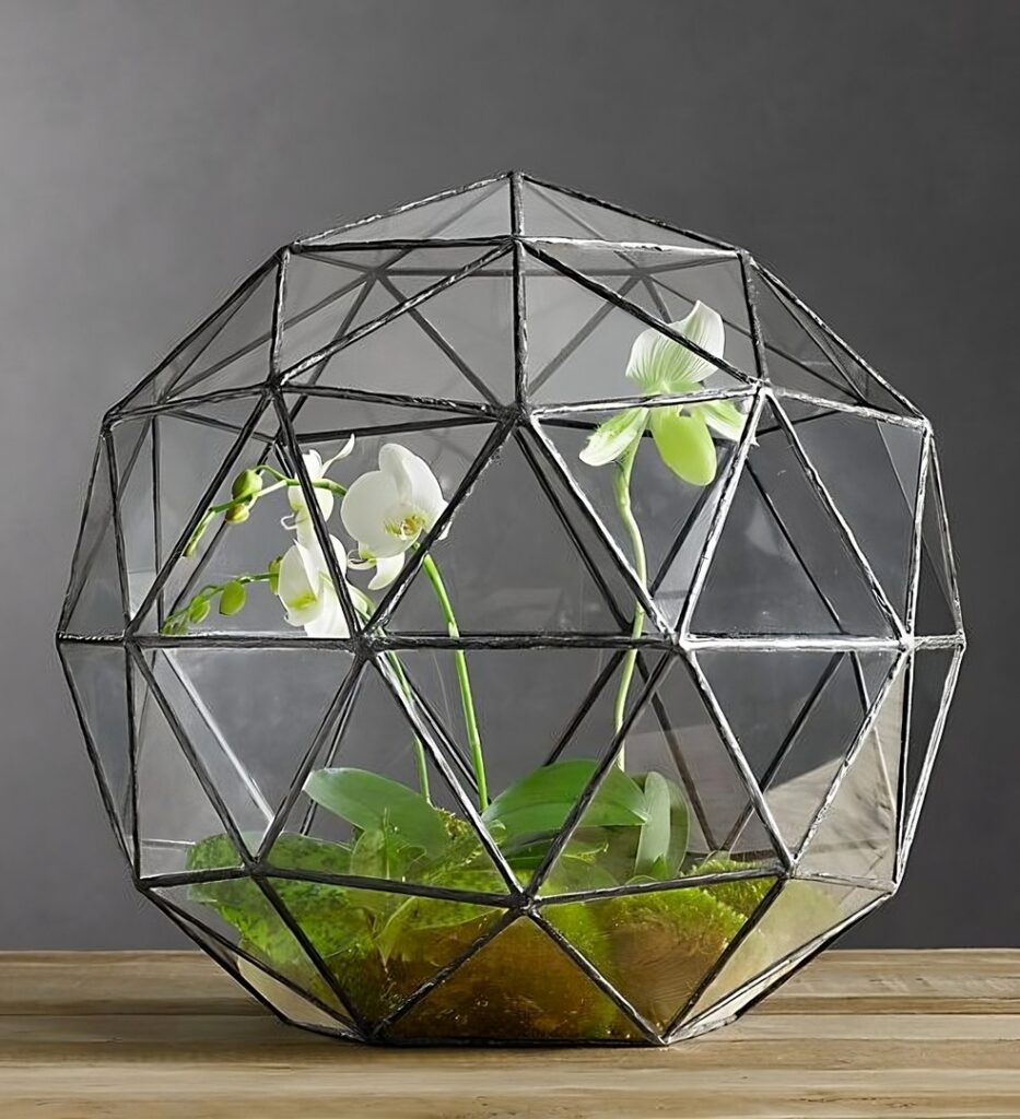 cosmosociologia-hernan-peña-ingenieria-ecologia-sesion-coaching